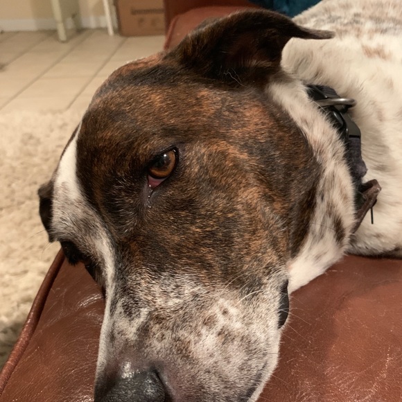 Meet your Posher, Julie - Picture 1 of 1